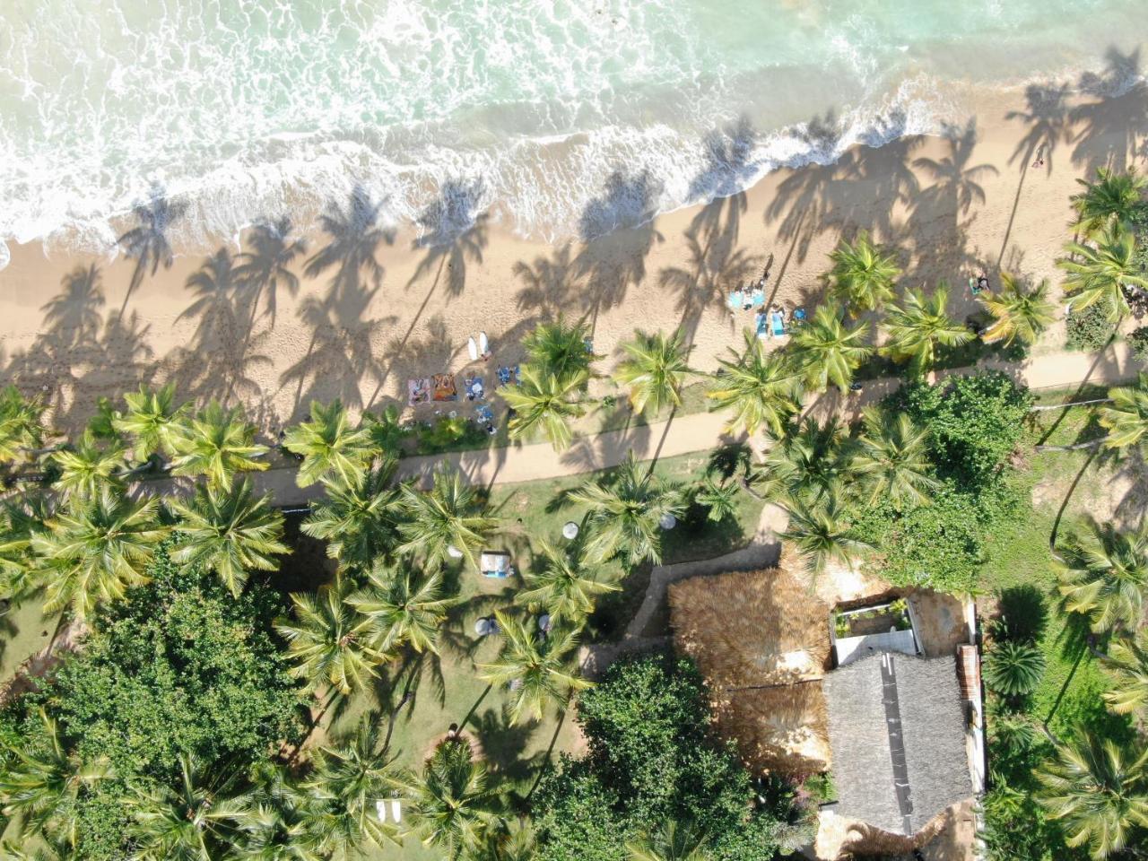 El Mosquito Boutique Hotel Playa Bonita Лас Теренас Екстериор снимка